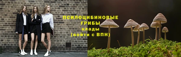 соль ск Алзамай