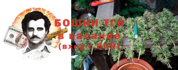 соль ск Алзамай