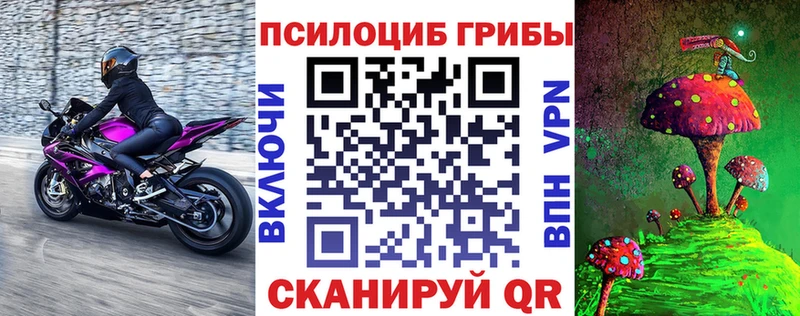 цена Краснотурьинск Псилоцибиновые грибы Psilocybine cubensis