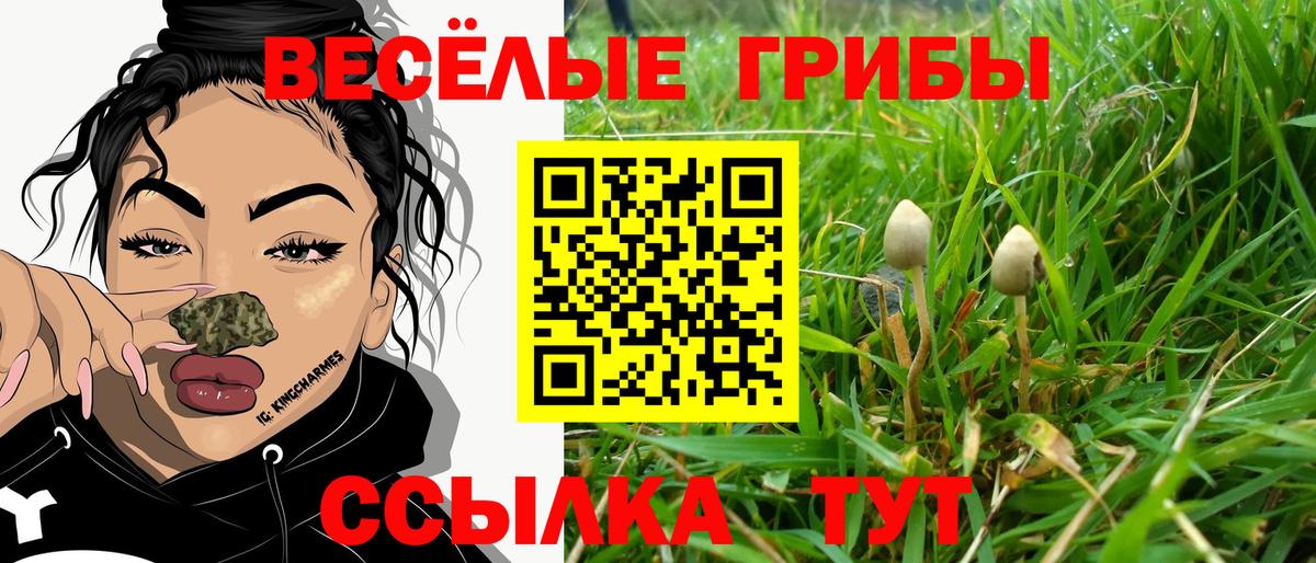 Галлюциногенные грибы Magic Shrooms Краснотурьинск